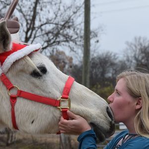 Meet your Posher, Dawn